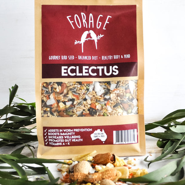 Forage Gourmet Bird Seeds - Eclectus 1kg