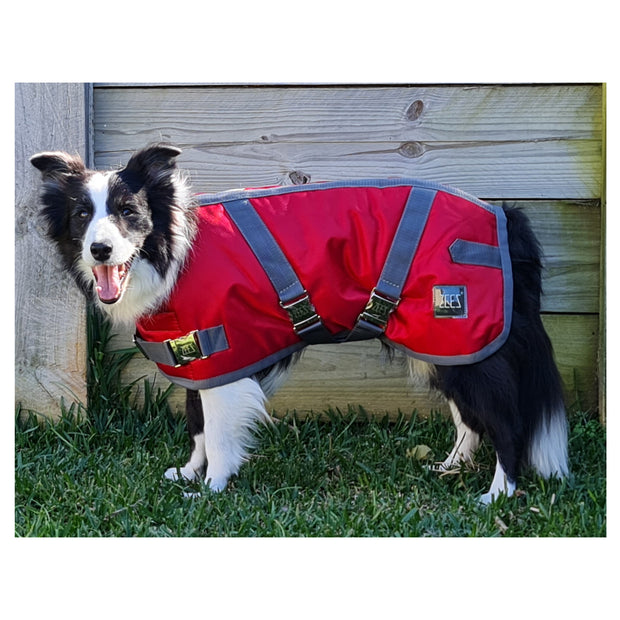 ZEEZ Supreme Dog Coat Ruby Red/Grey - Size 12 (31cm)