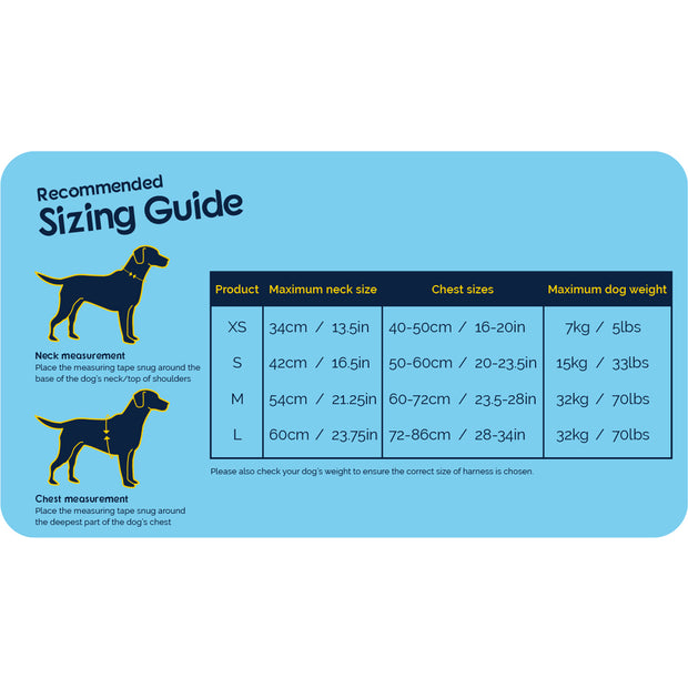 Company Of Animals Carsafe Crash Tested Dog Harness Blue Small