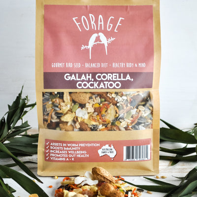 Forage Gourmet Bird Seeds - Cockatoo, Galah & Corella 1.75kg