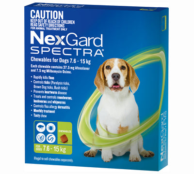 Nexgard Spectra Chewables for Dogs Green 7.6-15kg - 6 Pack
