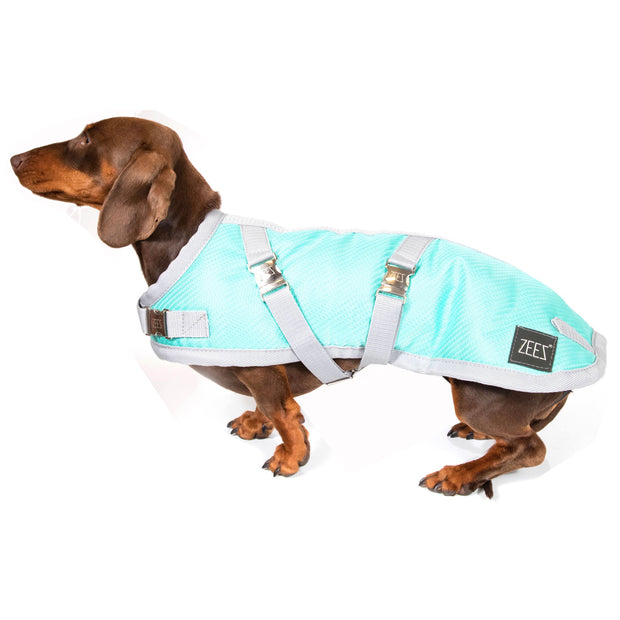 ZEEZ Supreme Dachshund Coat Mint Green/Grey - Size 17 (43.5cm)