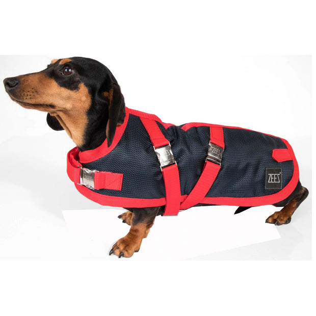 ZEEZ Supreme Dachshund Coat Navy Stone/Red - Size 17 (43.5cm)