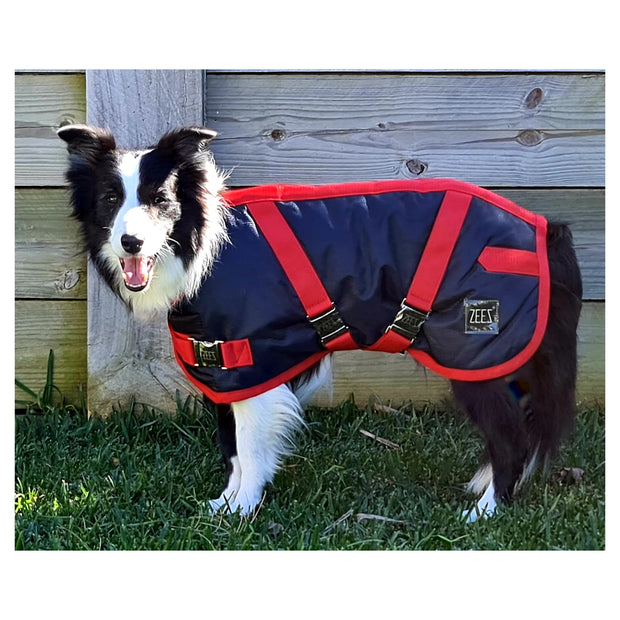 ZEEZ Supreme Dog Coat Navy Stone/Red - Size 14 (36cm)