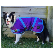 ZEEZ Supreme Dog Coat Grape Purple/Blue - Size 20 (51cm)