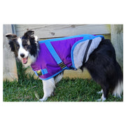 ZEEZ Supreme Dachshund Coat Grape Purple/Blue - Size 17 (43.5cm)