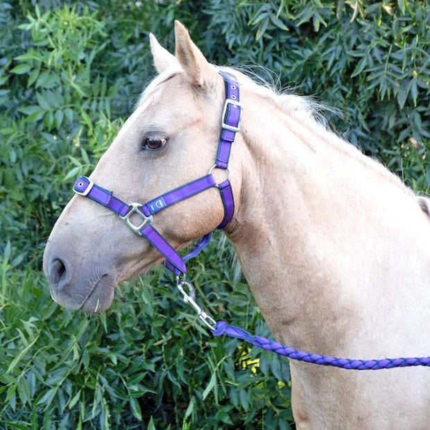 Anipal Comfort Horse Halter & Lead Set Autumn Lilac - Pony Size