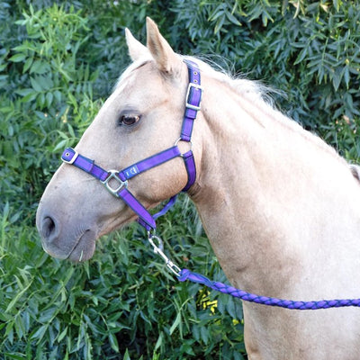 Anipal Comfort Horse Halter & Lead Set Autumn Lilac - Extra Full Size