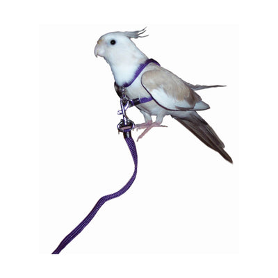 Bird Parrot Harness - Small (Lovebirds, Cockatiels etc)